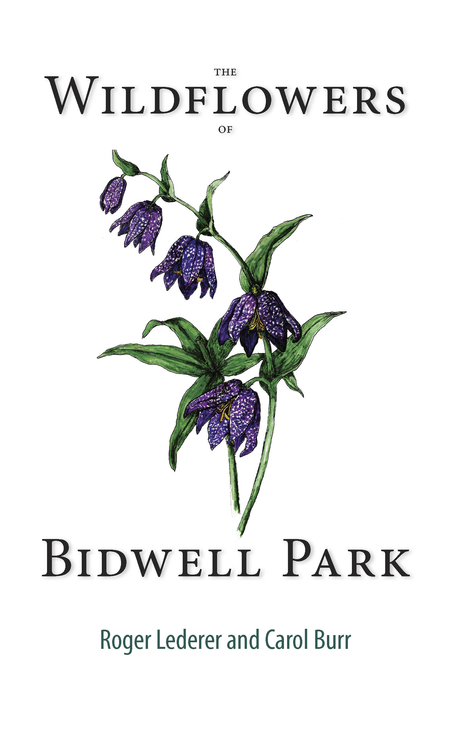 Click to order The Wildflowers in Bidwell Park